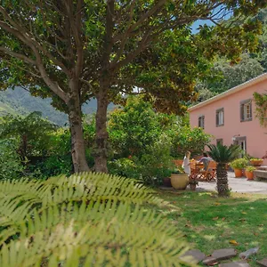 2* Affittacamere Madeira Surf